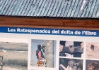 Las Ratespenades del delta de l'Ebre   R.Eveleens